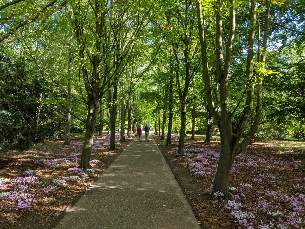 Anglesey Abbey trees and path