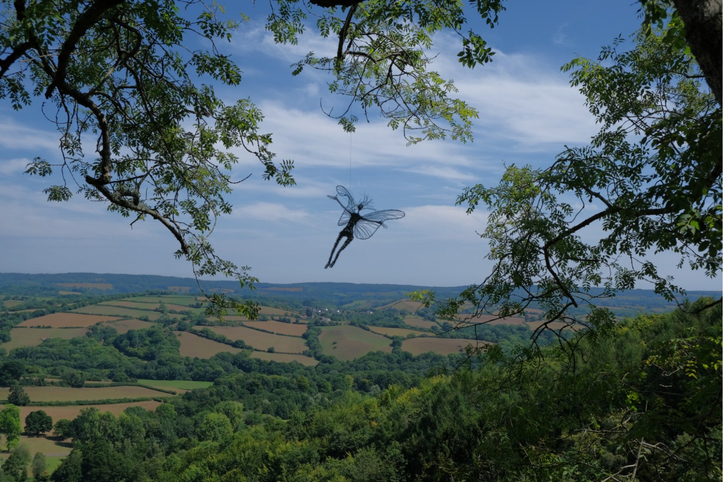 Image of Fairy hanging from the trees showing the views across green hills at Canonteign falls