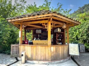 Tom's Homestay bar